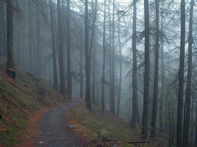 球迷社区热门话题讨论配图，多人围绕体育赛事展开热烈交流的场景